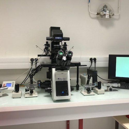 Microscope de micro injection de spermatozoïdes (ICSI) depuis 1994
